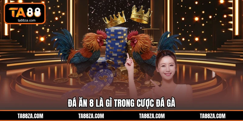Đá ăn 8 là gì trong cược đá gà