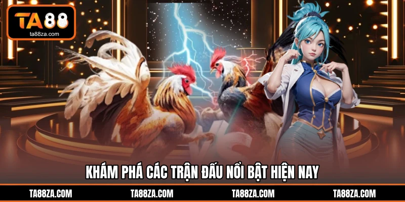 Khám phá các trận đấu nổi bật hiện nay