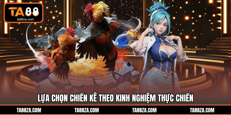 Lựa chọn chiến kê theo kinh nghiệm thực chiến