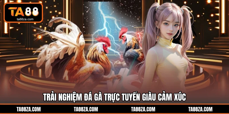 Trải nghiệm đá gà trực tuyến giàu cảm xúc